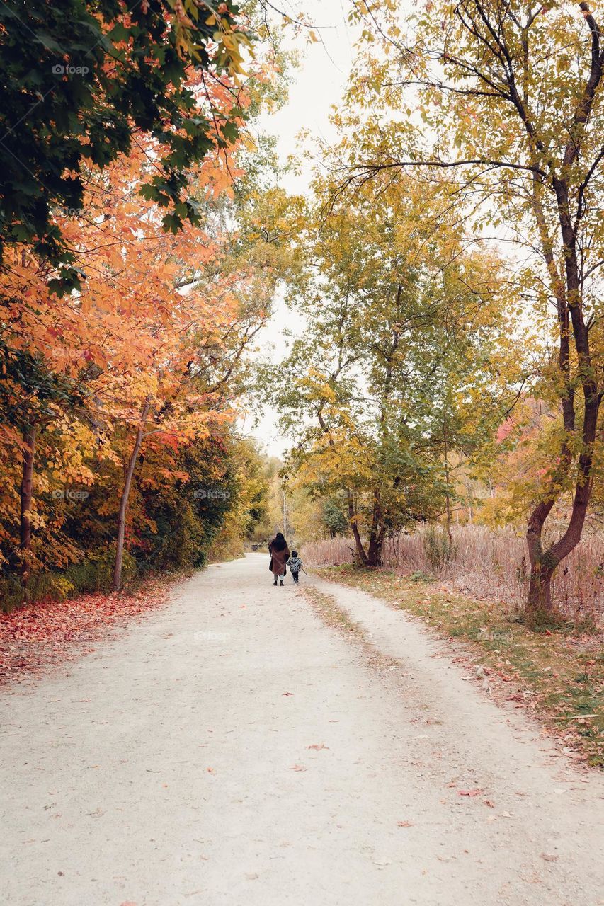 Autumn stroll in the park