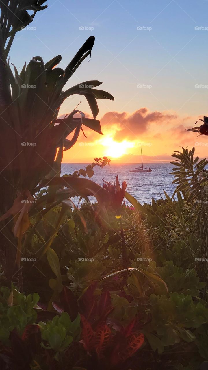 butiful sanset