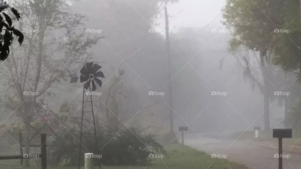 Fog