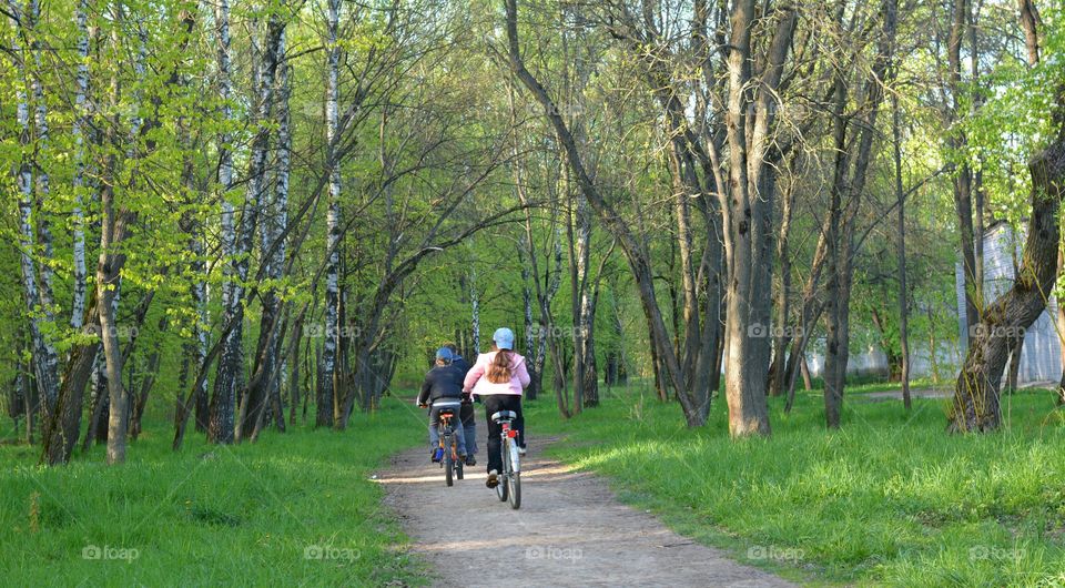 family riding bikes in spring park beautiful landscape