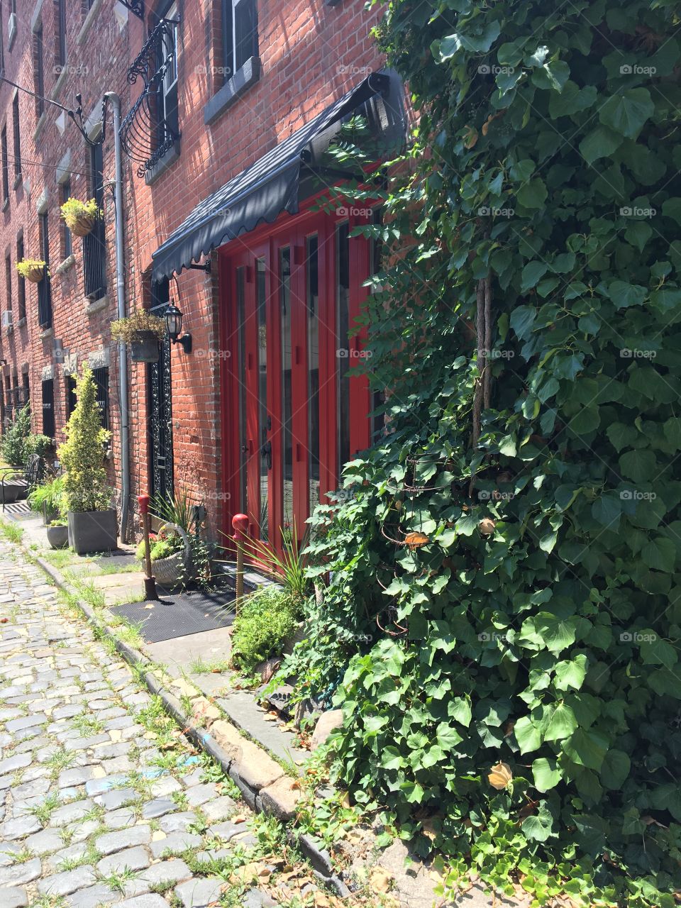 Cobblestone street with red door and ivy-covered brick building