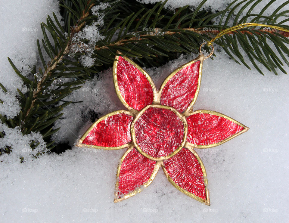 red flower pendant lying in snow beside a spruce branch