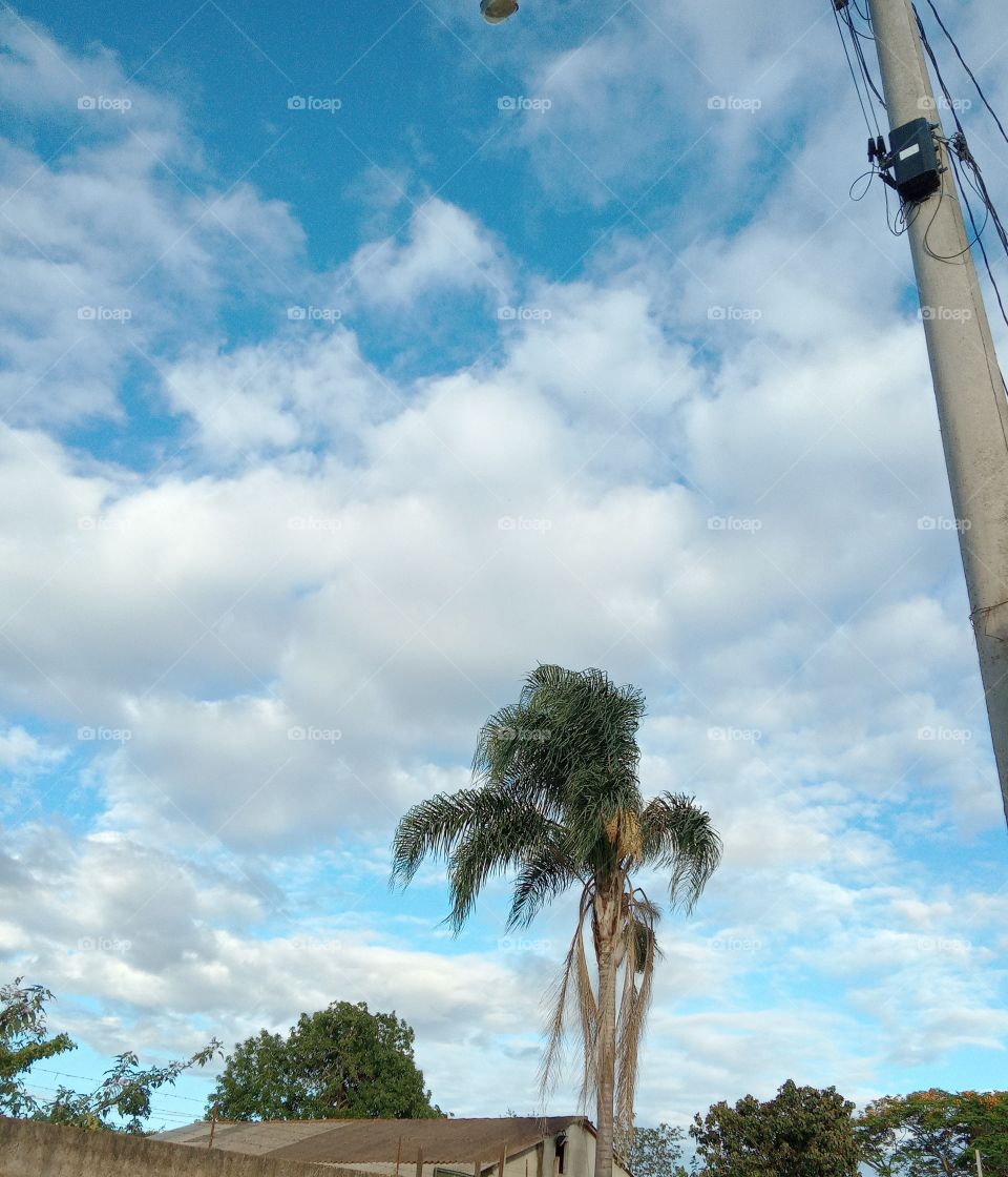 A Natureza e seus encantos