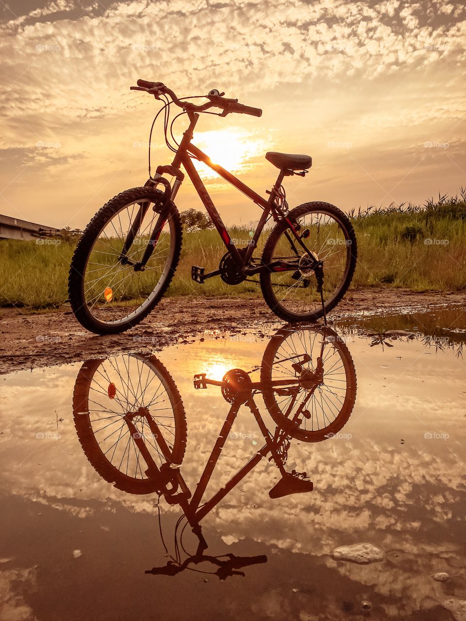 Bicycle and water reflection
