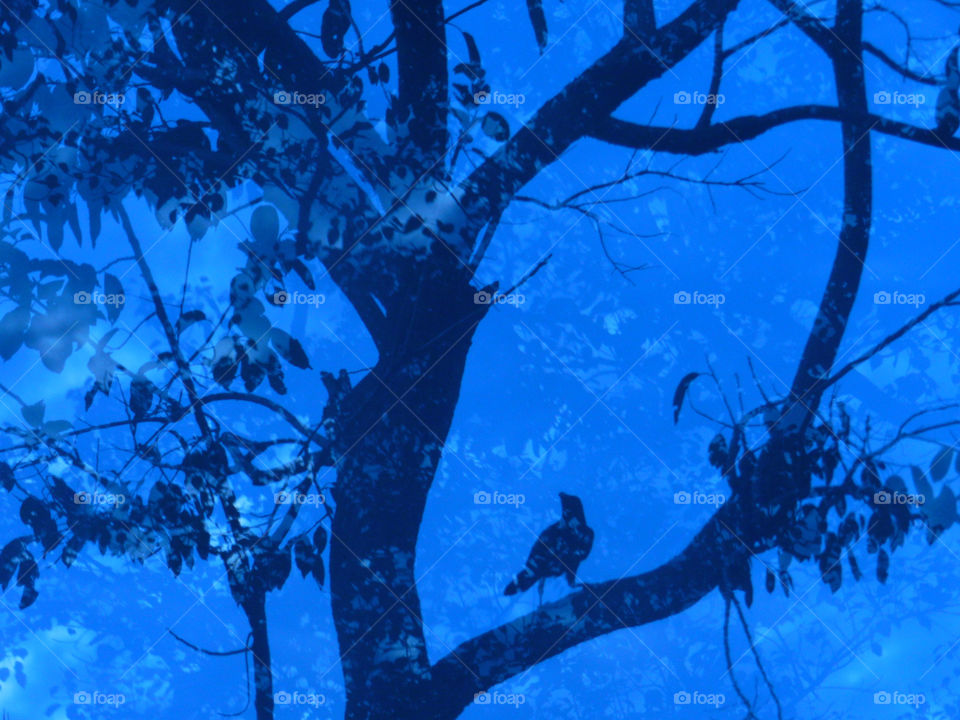 reflection through window glass ,I got this