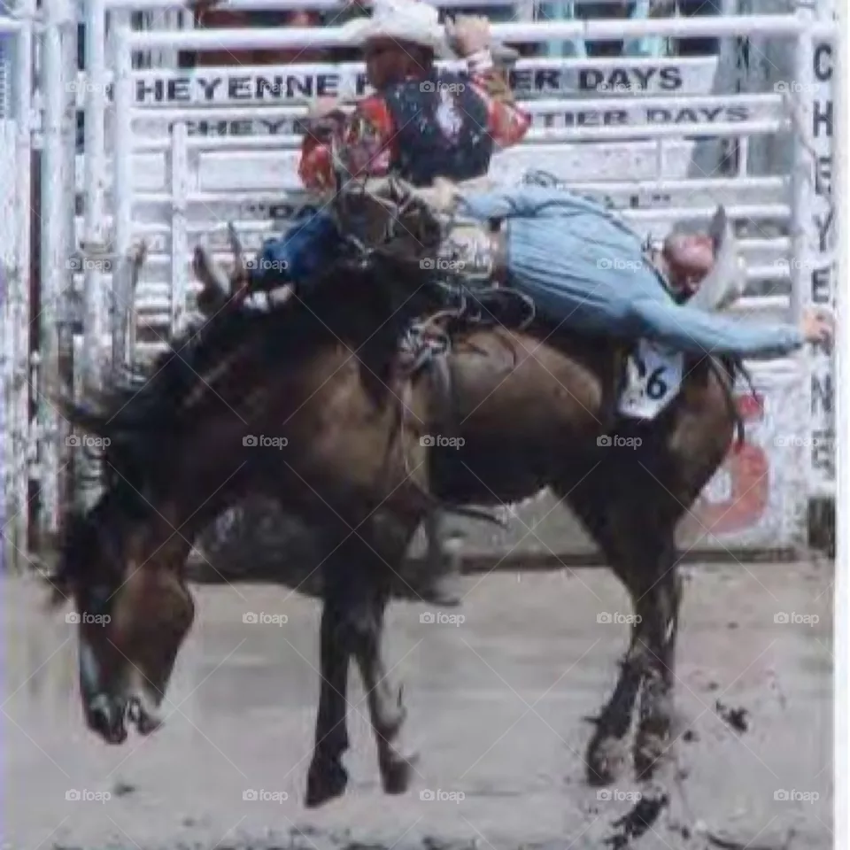 Bronco