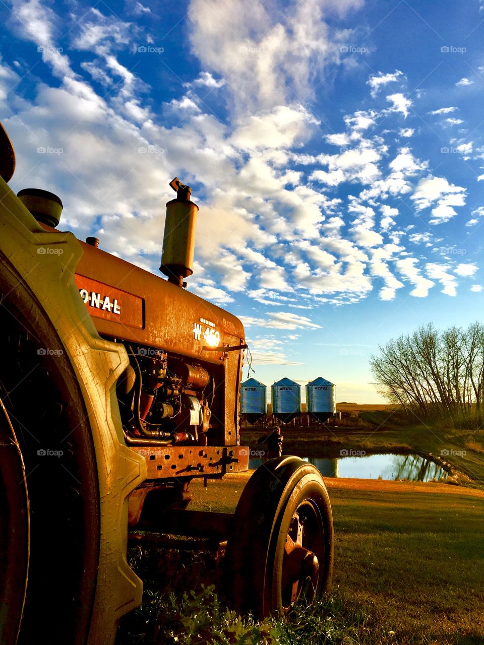 Old tractor in the evening sun