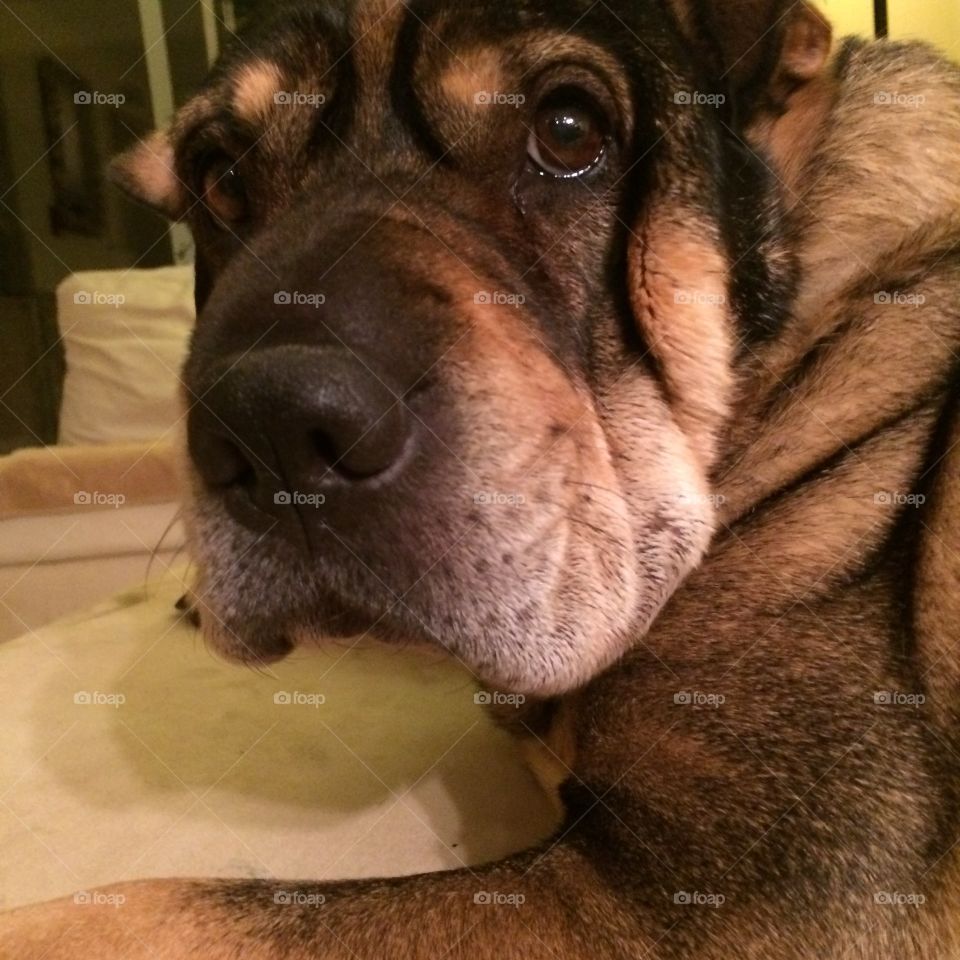 Is this it for 2015?