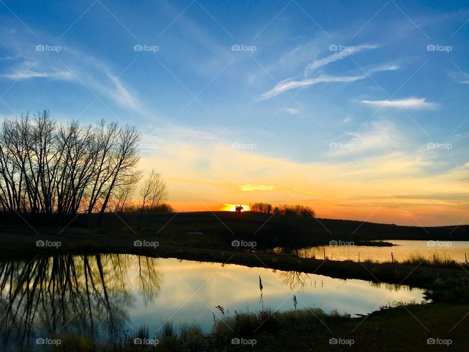 Evening on the farm 