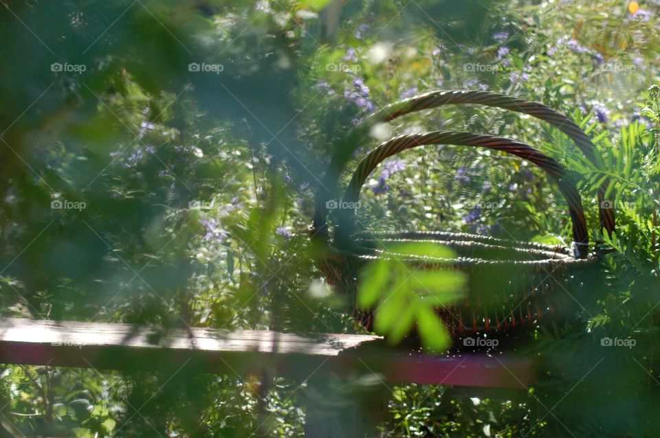 Secret Garden . Baskets on table seen through the leaves 