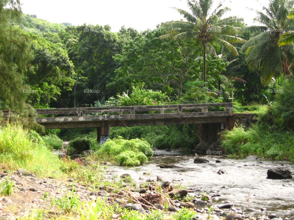 Bridge over irrigation stream Road to Hana