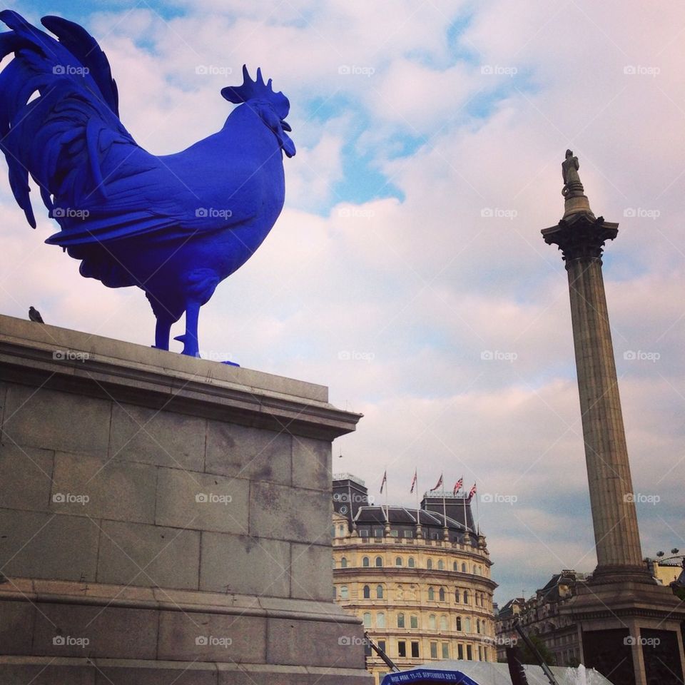 The Blue Cockerel, Trafalgar Square London, England 
