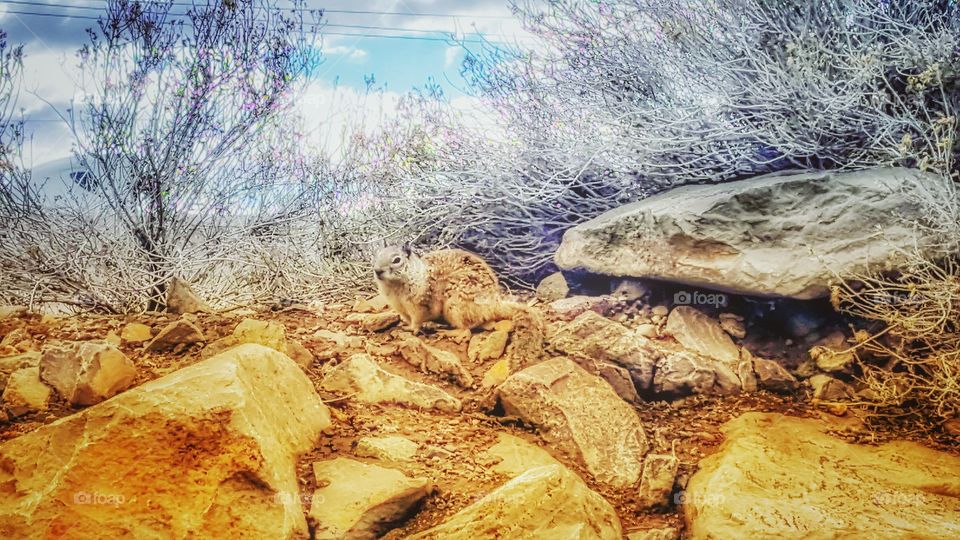 living BEAUTIFULLY & WONDERFULLY Made