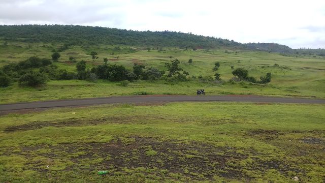 BBB.one fine morning forest hills way.. looking wonder land grennery.. views.. it's osm.