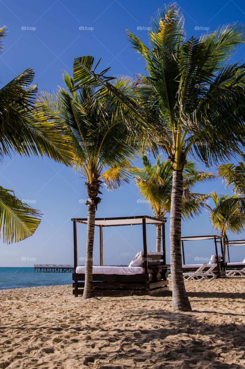 Canopy beds on beach