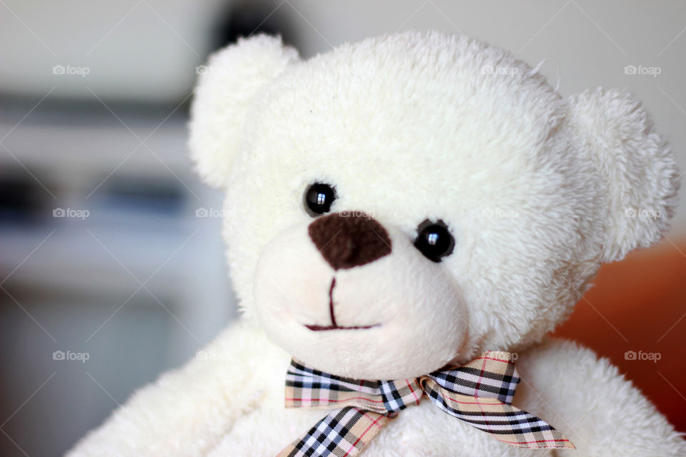 Teddy bear