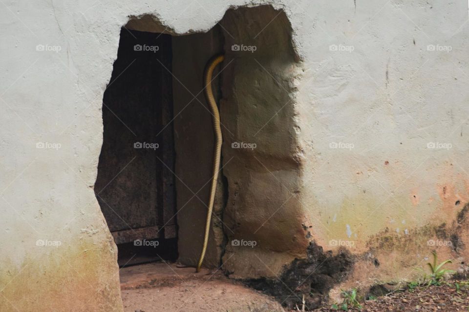 old building snack hanging on the hole