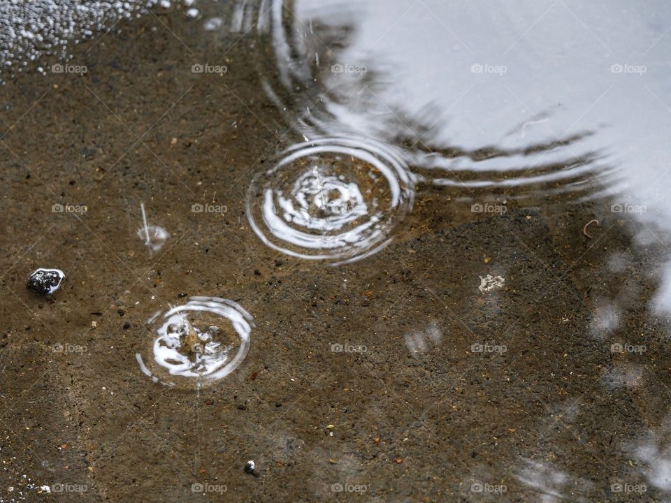 Raindrops falling in puddle