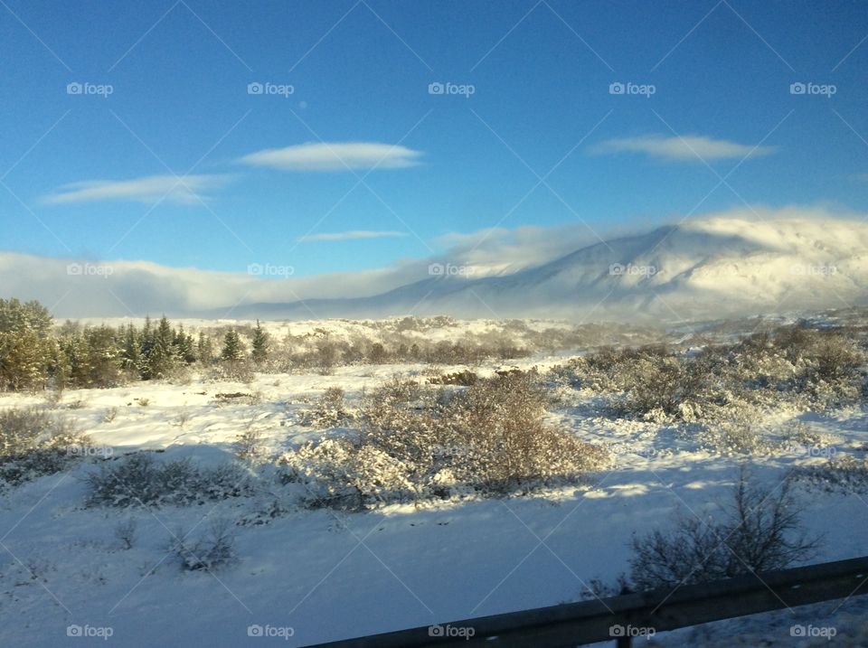 Winter landscape 