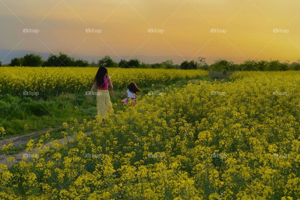 Mother and daughter running together at Sunset on canola field