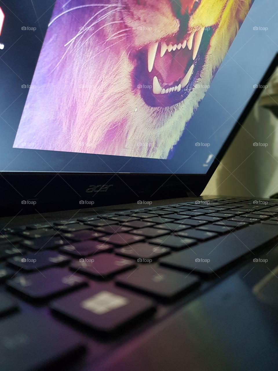 Computer&Lion