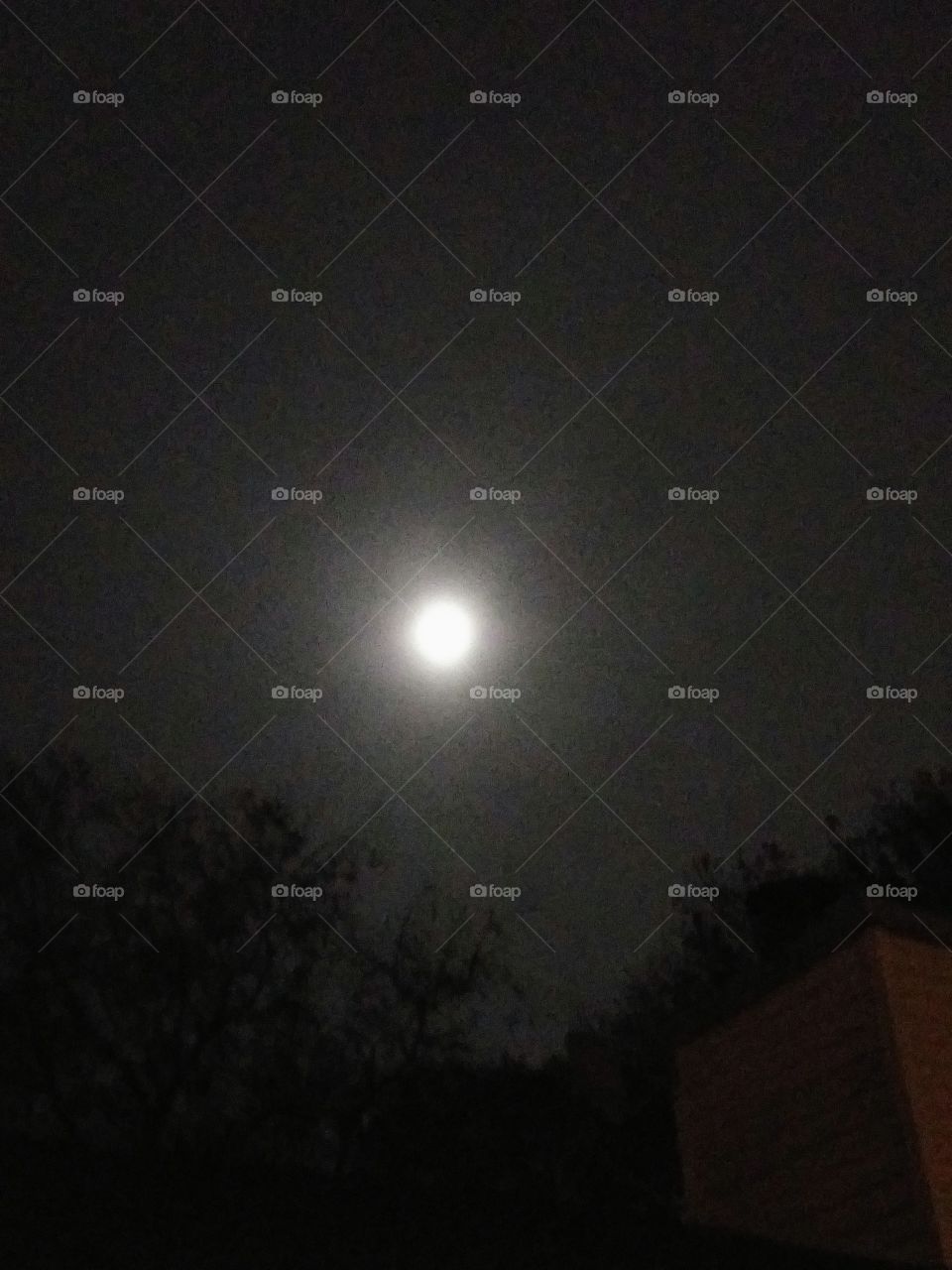 hazy moon over the roof