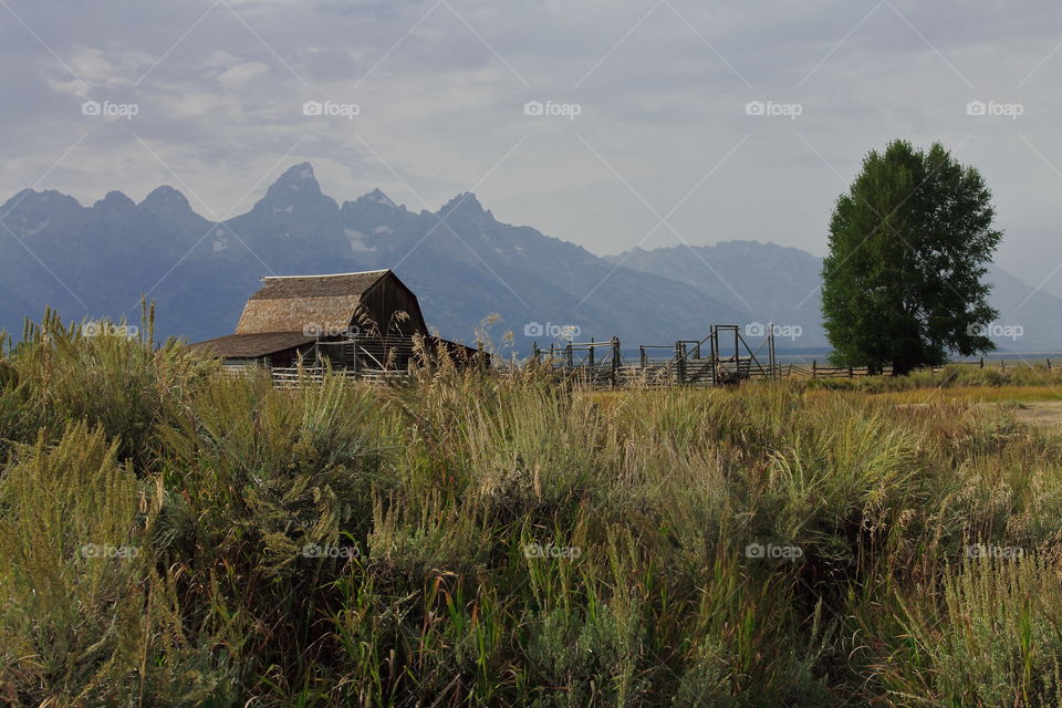 Grand Teton National Park