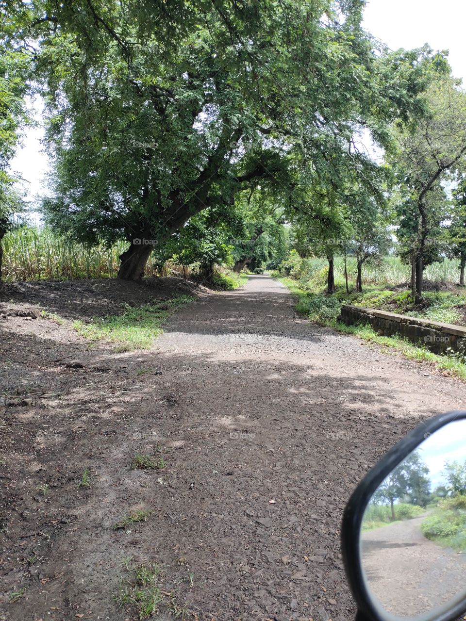 Nature in Natural color, photos with no filters looks absolutely amazing, refreshing and original