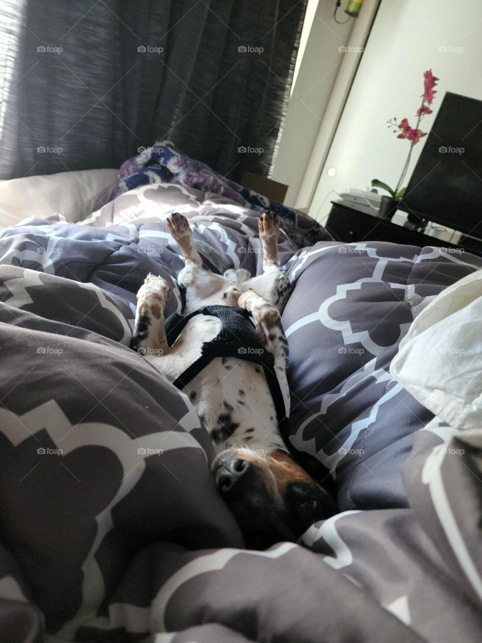 ahhh yes this is the life