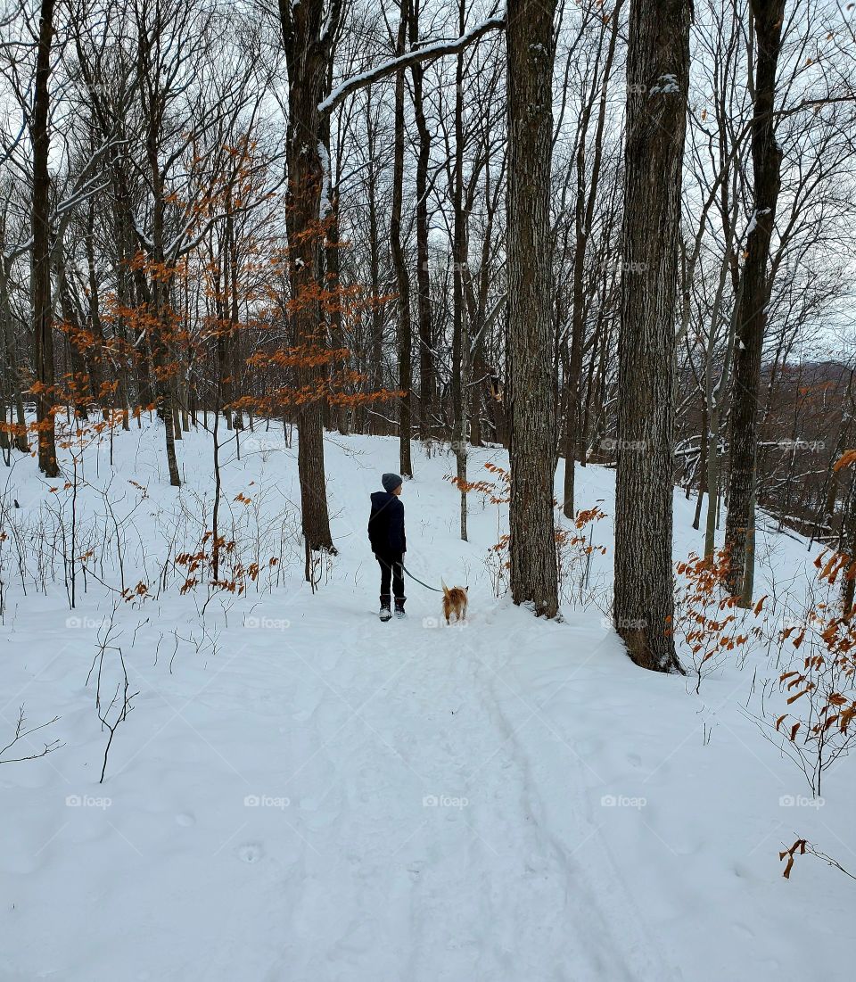 walking in the woods