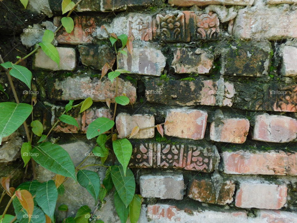 patterned overgrown bricks