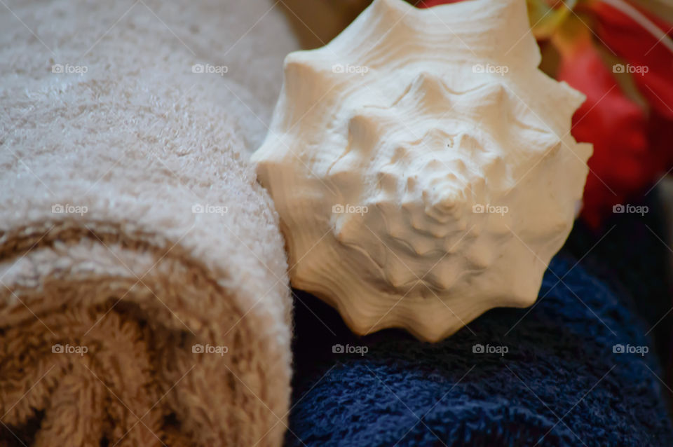 Seashells near towel