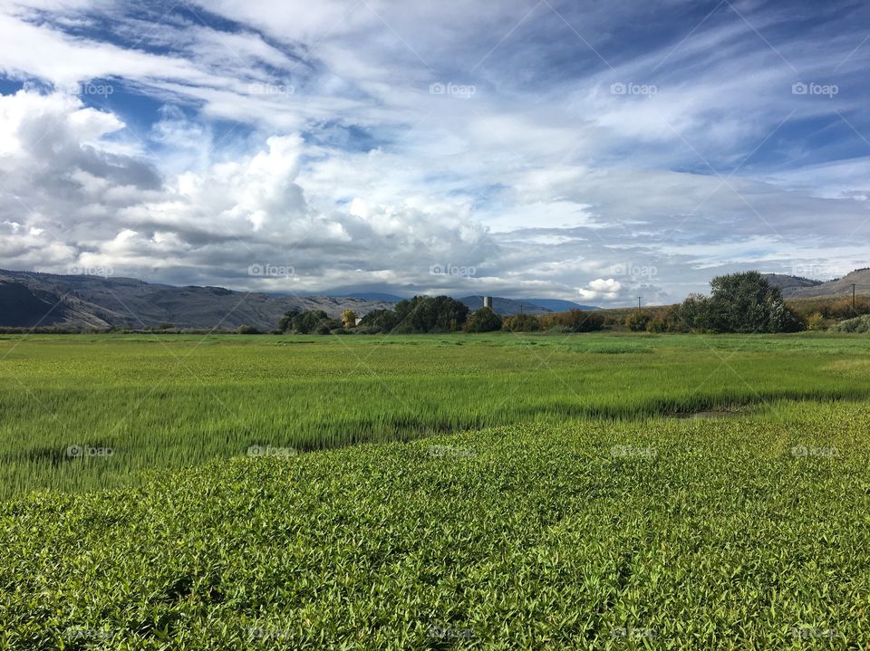 Beautiful summer day 