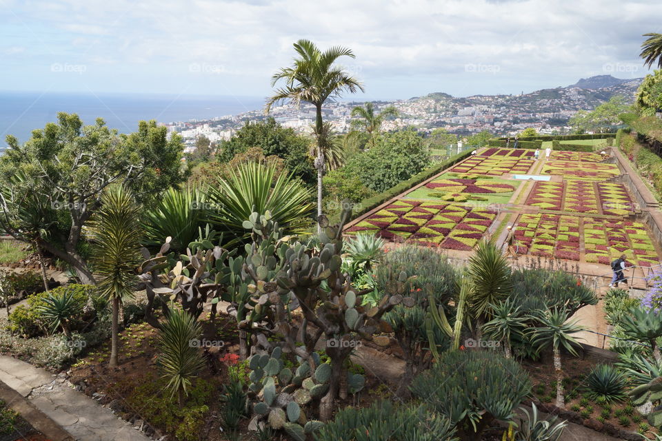 Jardin botanique surplombant Funchal sur l'île de Madère