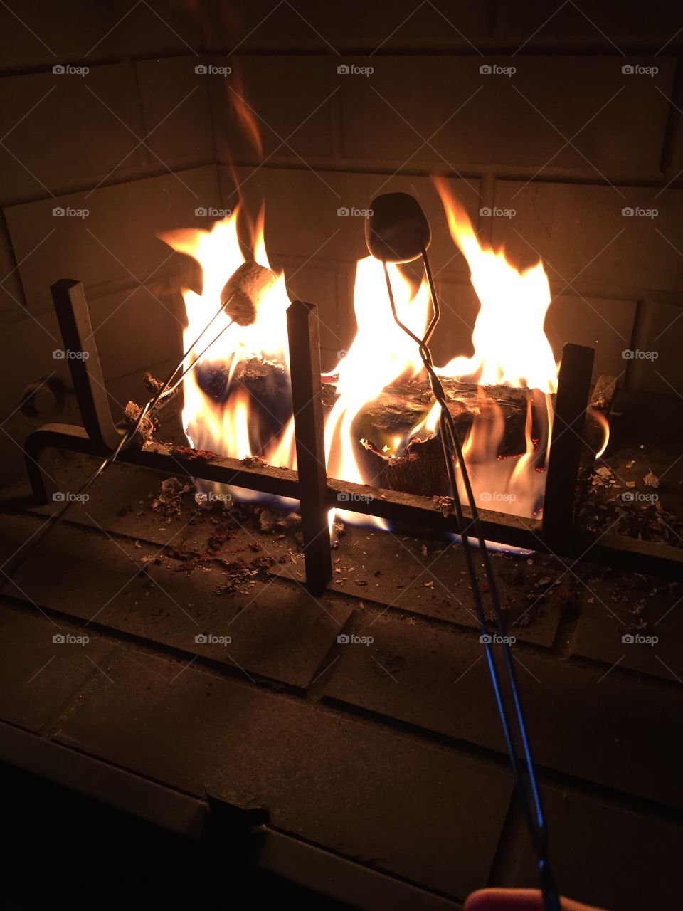 Toasting Marshmallows . Roasting marshmallows over an open fire.