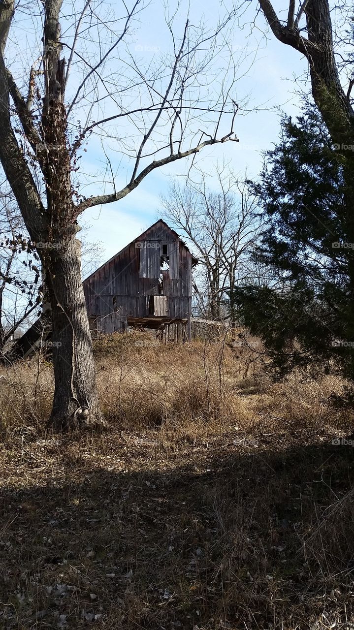 old barn