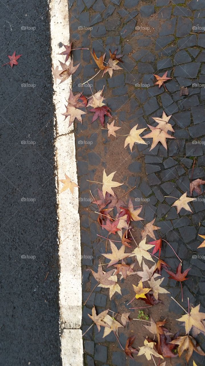 pavement and nature