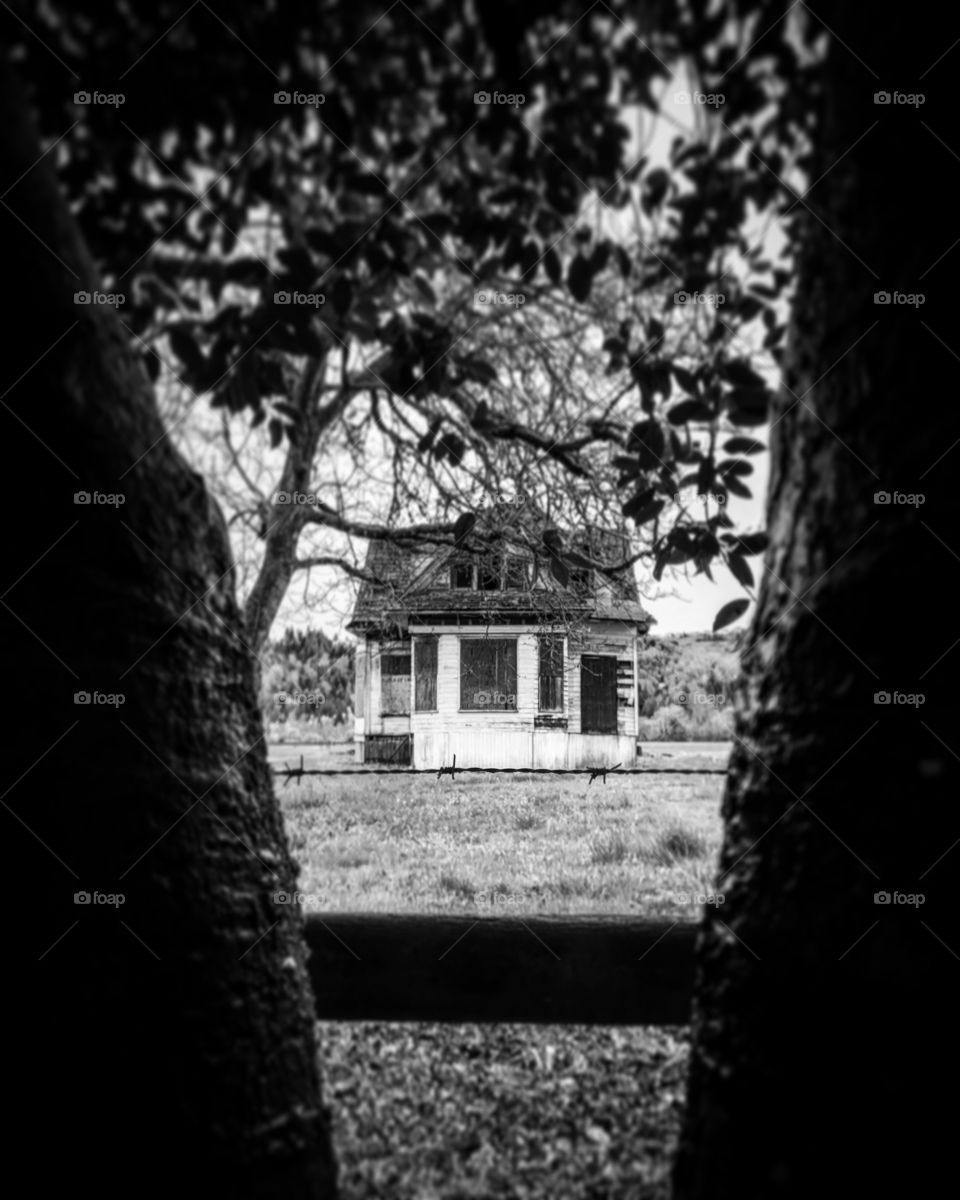 Haunted house in the woods 