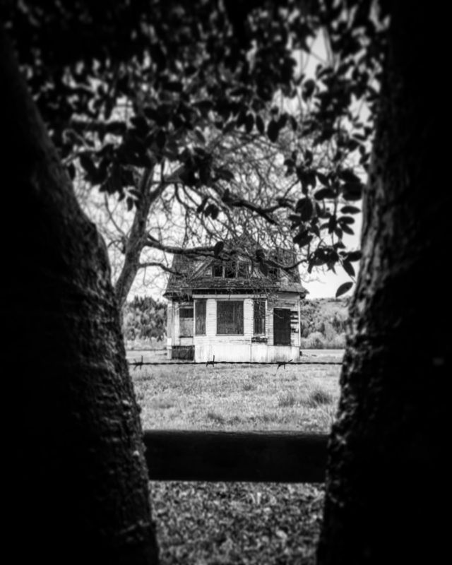 Haunted house in the woods 