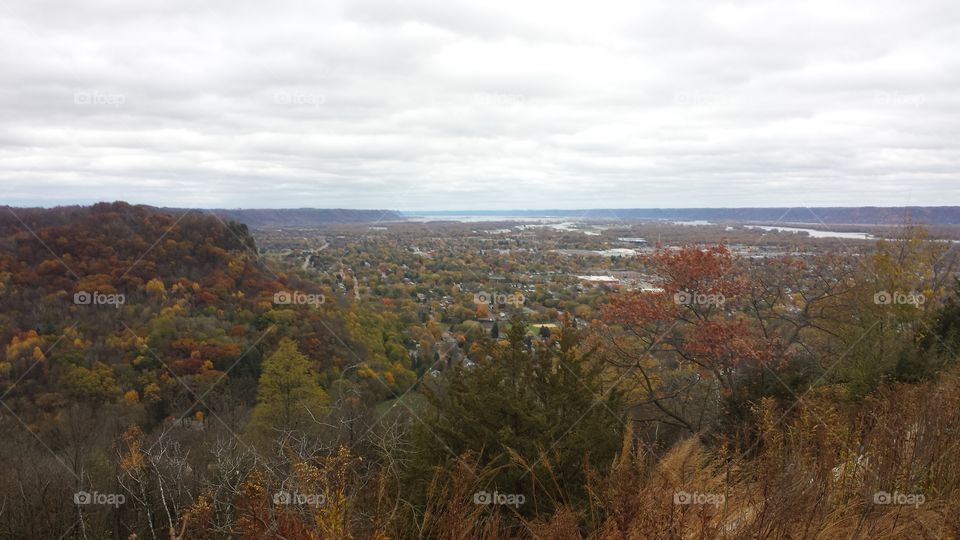 beauty  in Fall. wisconsin  leaves