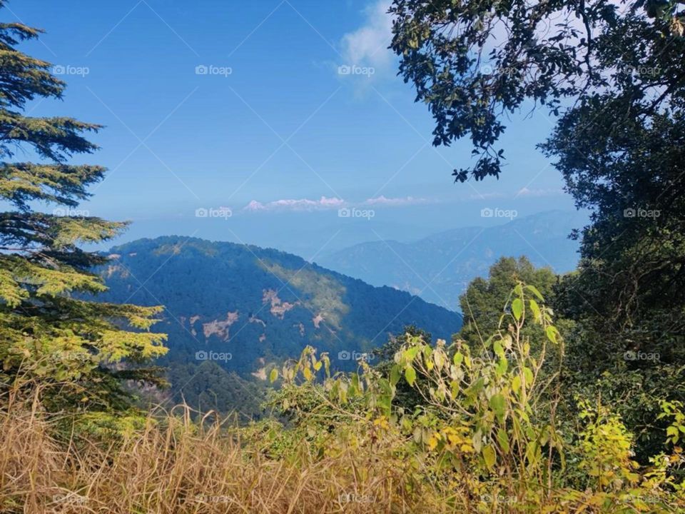 The clearest way into the Universe is through a forest wilderness.