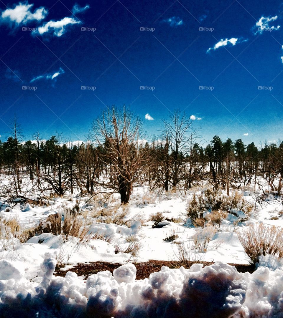 Snow covered desert 