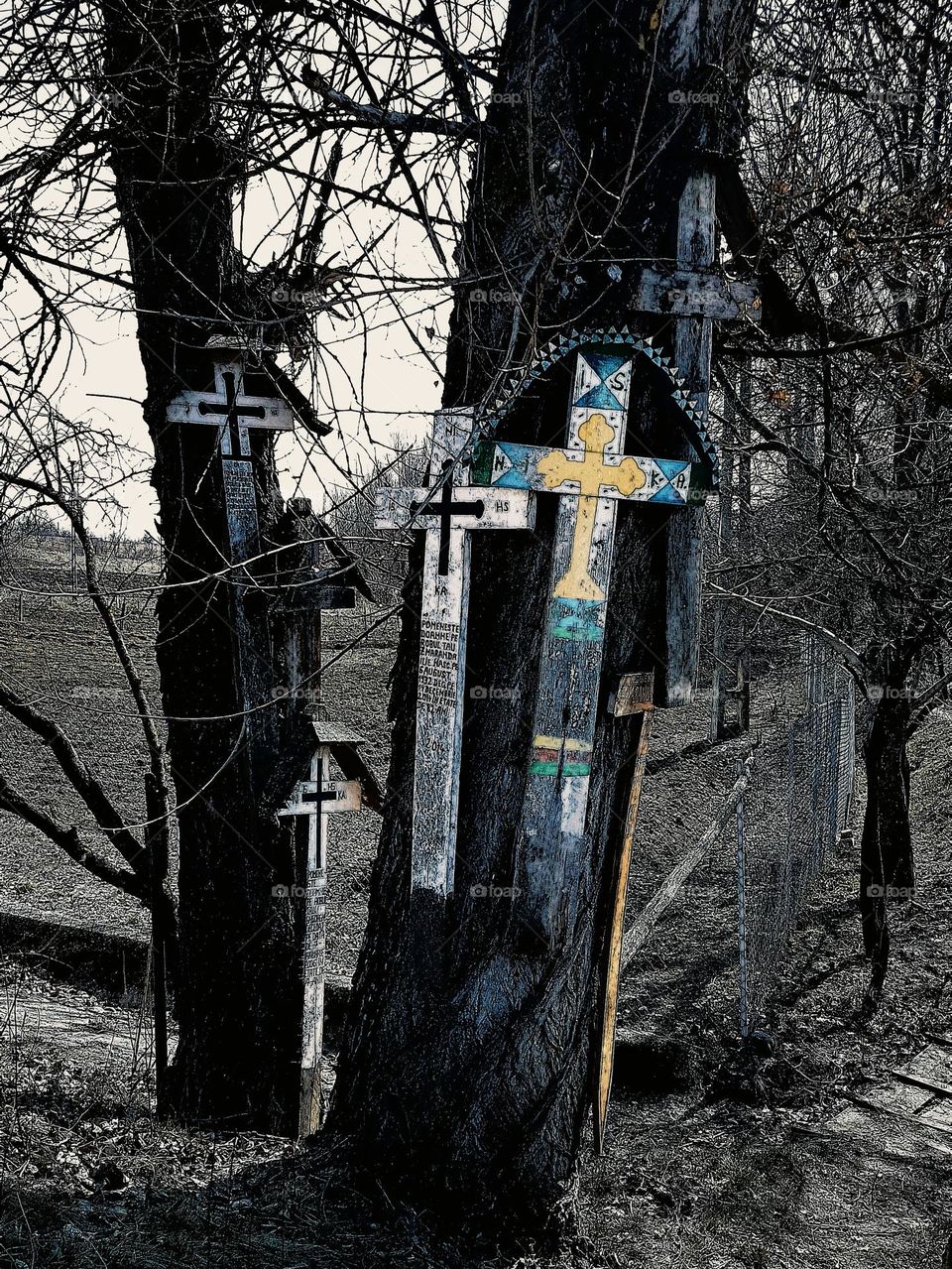 wooden crosses on the tree