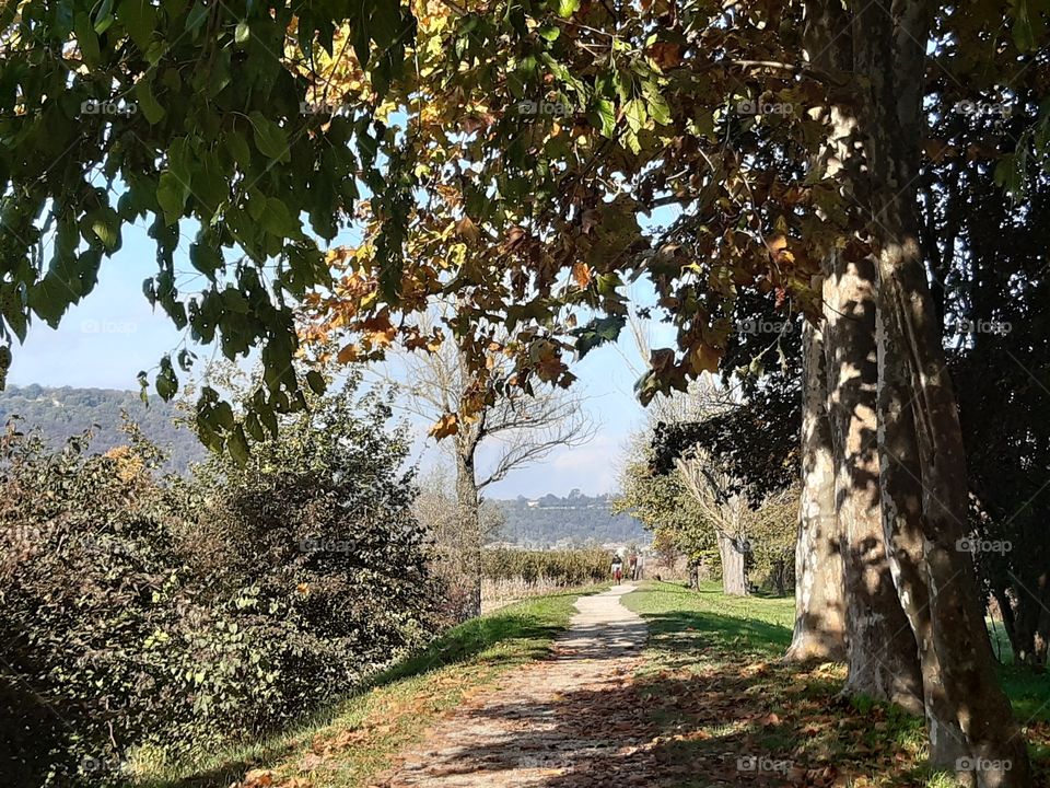 beautiful walk in a fine day of autumn