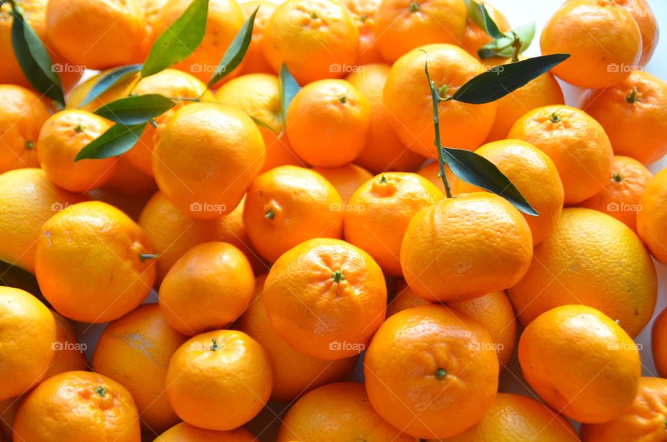 Mandarin pick your own farm organic 
