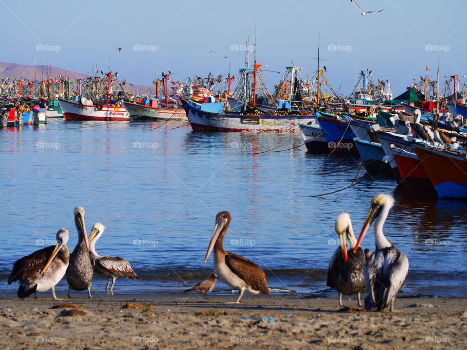 View in Paracas, Peru 