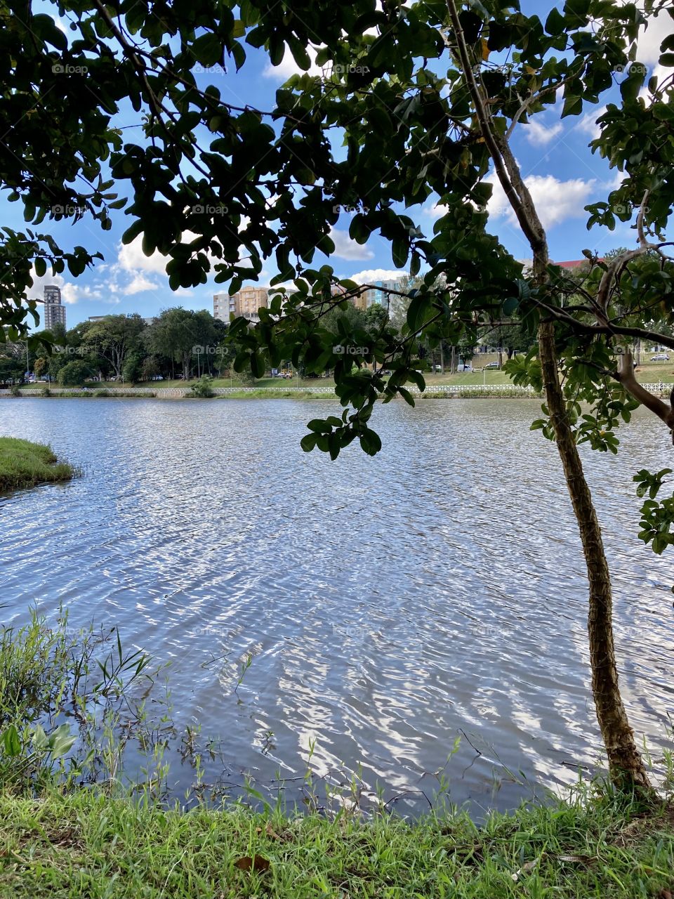 A natureza e sua beleza indescritível: Lago do Taboão, em Bragança Paulista. Que maravilha!