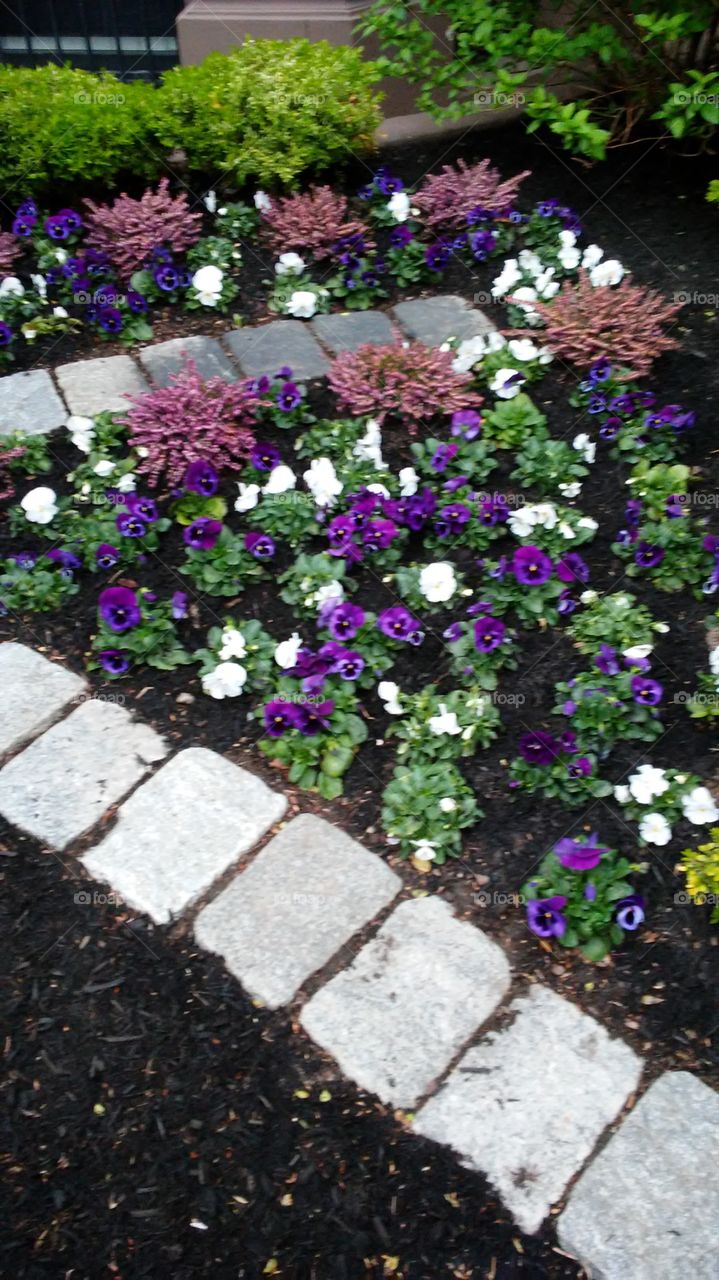 spring. flowers. beauty