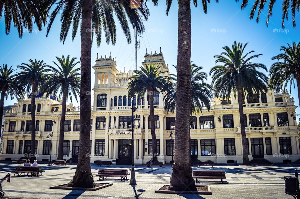 Facade of building and palm trees