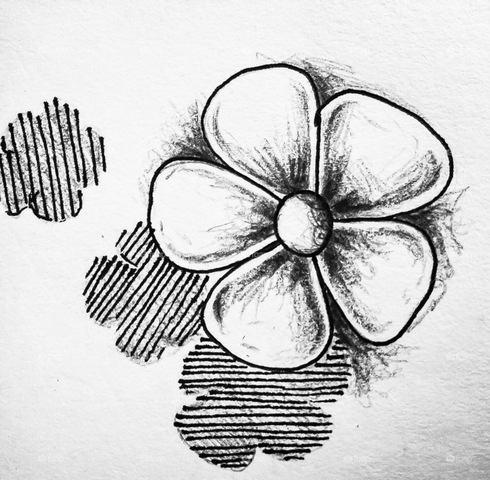 flower drawings